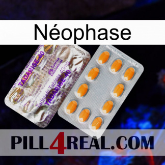 Néophase new12